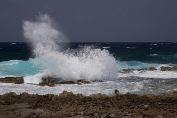 sea beach coast tropical Bonaire island Caribbean sea
