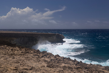 sea beach coast tropical Bonaire island Caribbean sea