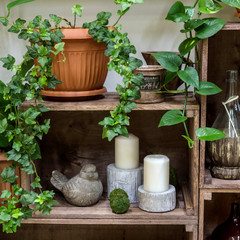 Decorative showcase made from wooden fruit boxes. Flower shop. Vintage composition with potted flowers, vases, candles and etc.