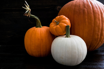 Rustic Grouping of Whole Pumpkins: Group of whole pumpkins of various sizes on a dark wood background