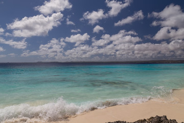 sea beach coast tropical Bonaire island Caribbean sea