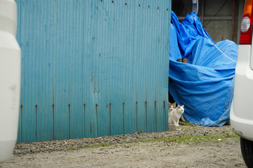 boy in front of an old door