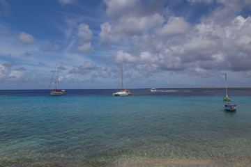 Obraz premium sea beach coast tropical Bonaire island Caribbean sea