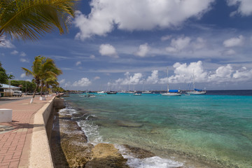 sea beach coast tropical Bonaire island Caribbean sea