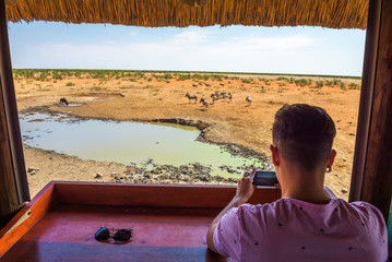 Tourist films wildlife with a smartphone in Etosha National Park, Namibia