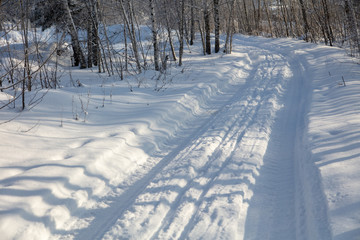 Road in the forest in the snow