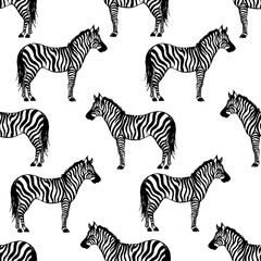 Fototapeta na wymiar Seamless vector pattern with zebra