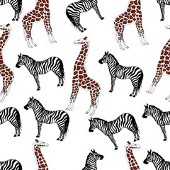 Fototapeta na wymiar zebra and giraffe pattern vector