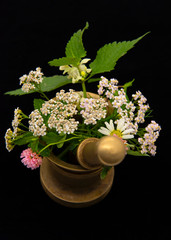 Medicinal herbs in a copper mortar with a pestle.