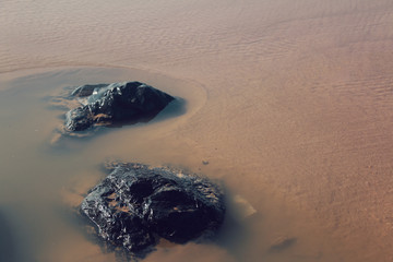 Black stone in shallow water