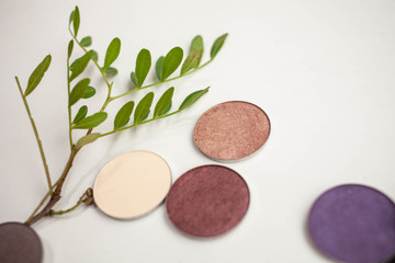 beauty concept. twelve different shades of shadow in round shapes and leaves on a white background close up