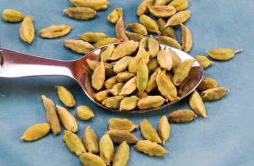 Close up of isolated spoon full with dry cardamom pods seeds on scratched old blue china dish