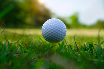 Golf ball on tee in beautiful golf course