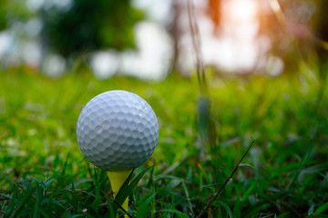 Golf ball on tee in beautiful golf course.