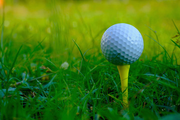 Golf ball on tee in beautiful golf course.