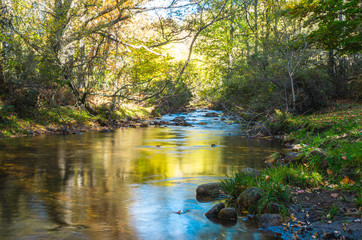 River crossing the Hayedo de Montejo