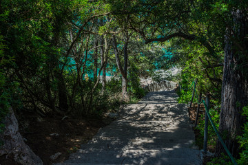 Stairs to the beach surrounded by trees