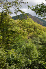 Obraz premium The mountains landscape