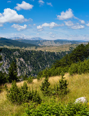 Fototapeta na wymiar Summer Tara Canyon in mountain Durmitor National Park, Montenegro