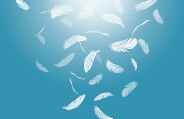 Soft white feathers floating in the air, Feathers abstract background