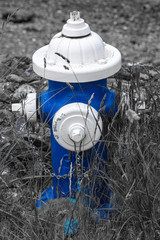 Blue Hydrant