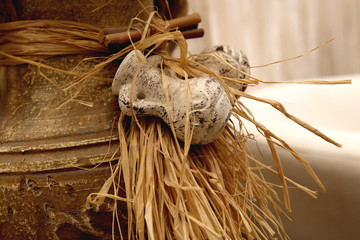 dry grass for an interior designer