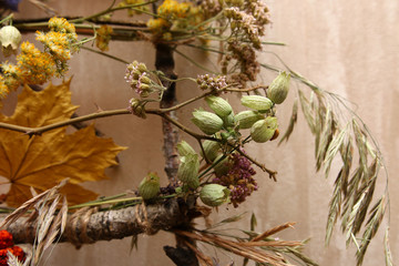 dry grass for an interior designer