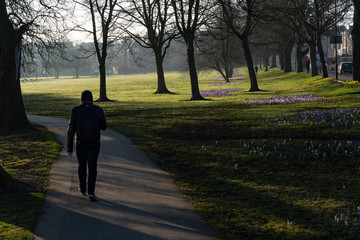 Silhouette walking along a path early on a spring morning.