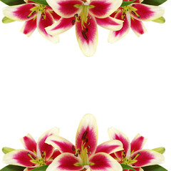 Floral frame made of  liles