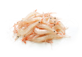 shiraebi, shiroebi, japanese glass shrimp