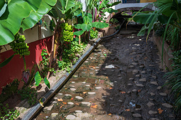 Funchal in madeira island