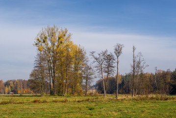 Słoneczny dzień w Dolinie Górnej Narwi, Podlasie, Polska