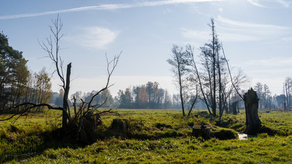 Słoneczny dzień w Dolinie Górnej Narwi, Podlasie, Polska