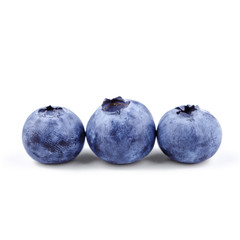 Fresh three blueberries fruit isolated on white with clipping path