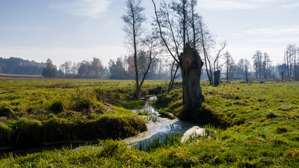 Słoneczny dzień w Dolinie Górnej Narwi, Podlasie, Polska © podlaski49