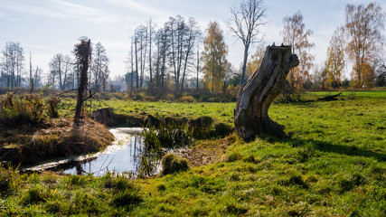 Słoneczny dzień w Dolinie Górnej Narwi, Podlasie, Polska © podlaski49