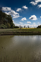 Fototapeta na wymiar Spring landscape with pond and clouds.