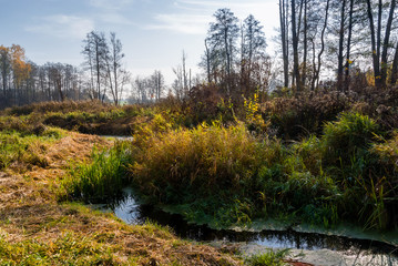 Słoneczny dzień w Dolinie Górnej Narwi, Podlasie, Polska © podlaski49