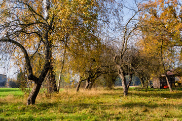 Słoneczny dzień w Dolinie Górnej Narwi, Podlasie, Polska © podlaski49