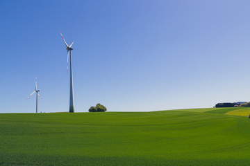 Fototapeta premium wind turbines in green field