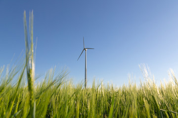 wind turbine on field