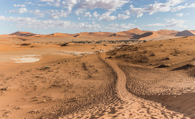 Tracks through the desert dunes at Sossusvlei Namibia © Chris