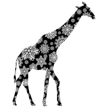 Christmas card giraffe in snowflakes on a white background