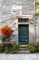 old door in a stone house facade with vines and bright red flowers