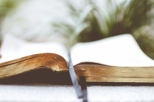 Closeup Shot Of An Old Open Bible With A Blurred Background