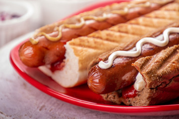 Hot dogs on red plate on white background. Fast food, american tradditional meal