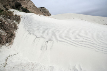 Santa Rosa Island Dune