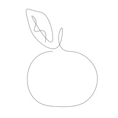 Orange fruit continuous line drawing vector illustration