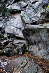 grey giant stones in the forest