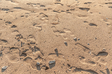 abstract background footprints of soles on wet sand